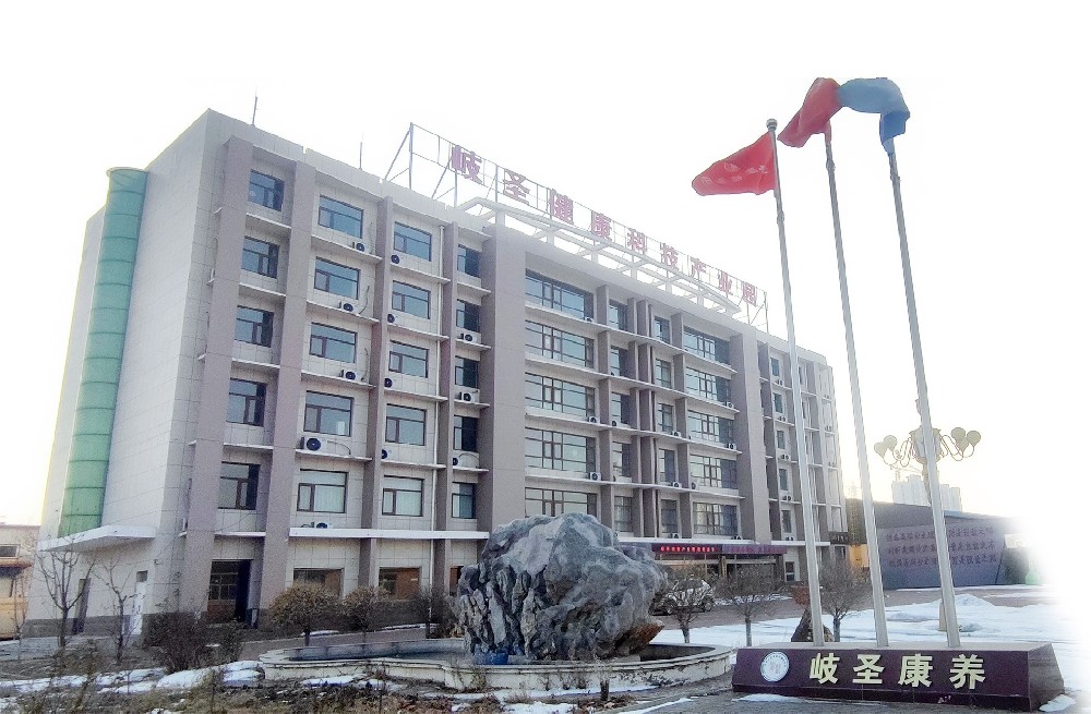 岐圣大健康产业园
