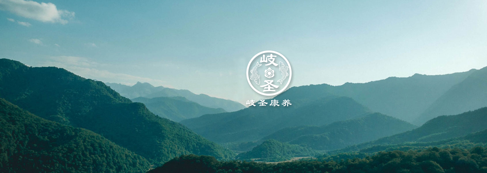岐圣国际文旅康养产业集团